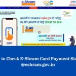 How to Check E-Shram Card Payment Status